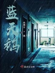 蓝天鹅啤酒属于什么档次的