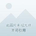 仙途官方