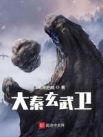 玄雍大秦之主