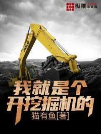 我开挖掘机你还爱我吗