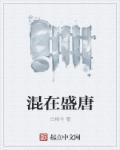 混在大唐的工科男免费阅读
