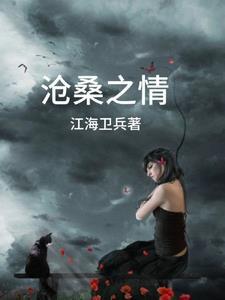 沧桑情歌的歌词解释