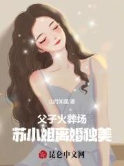 父子火葬场苏小姐离婚独美
