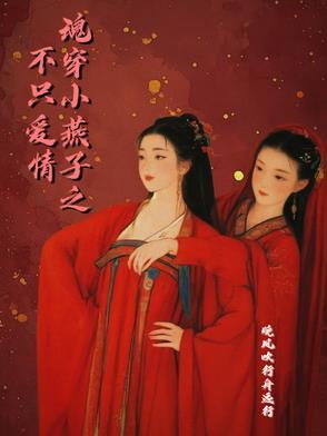 穿越之小燕子txt