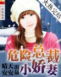 危险爱情总裁宠妻如命