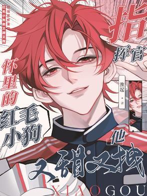 指挥官的宠物漫画