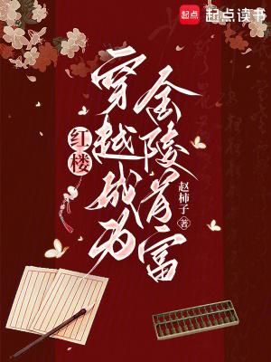 红楼之金陵当官