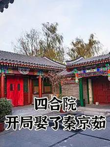 情满四合院秦淮如的女儿