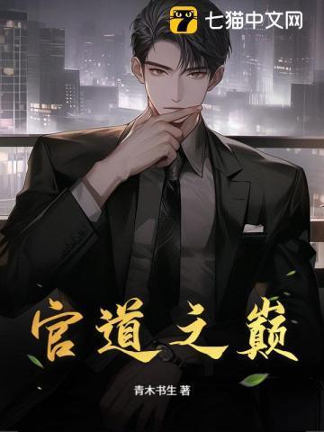 官道之巅从基层到中央罗子良