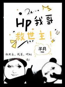 hp救世主的哥哥不好当完结了吗