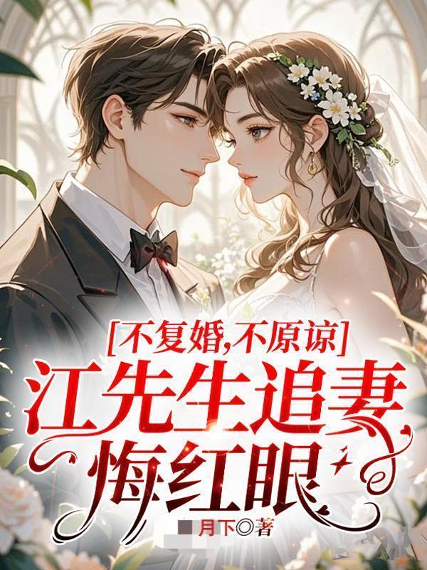 江先生情深不渝全文阅读