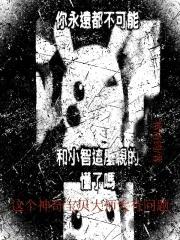 宝可梦d