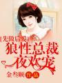 先做后爱狼性总裁夜欢宠类似