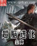 超脑进化之书作者张宇