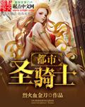 都市里的圣骑士