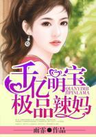 千亿萌宝极品辣妈无弹窗