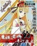 魔法老师外传