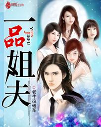 一品姐夫有多少个女人
