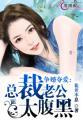 闪婚夺爱总裁老公太霸道免费阅读全文