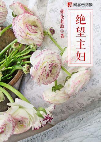 绝望主妇第六季在线观看电视剧