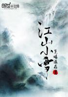 江山又小雪讲的什么