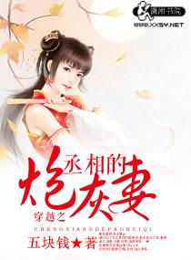 穿越之丞相的炮灰妻免费阅读