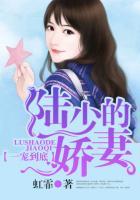 宠妻无度陆少的第一甜妻txt