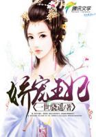 娇宠王妃 一世骁遥