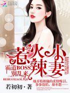 惹火小辣妻霸道boss别乱来