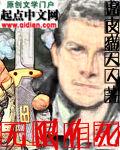 无限作死之旅 夜弹月下琴TXT