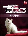 一只猫影视官方网站