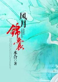 风月锦囊秦熠身世