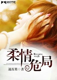 柔情史 简介