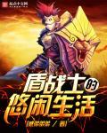 盾战