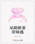 呆萌娇妻带球逃