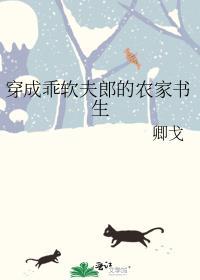 穿成乖软夫郎的农家书生